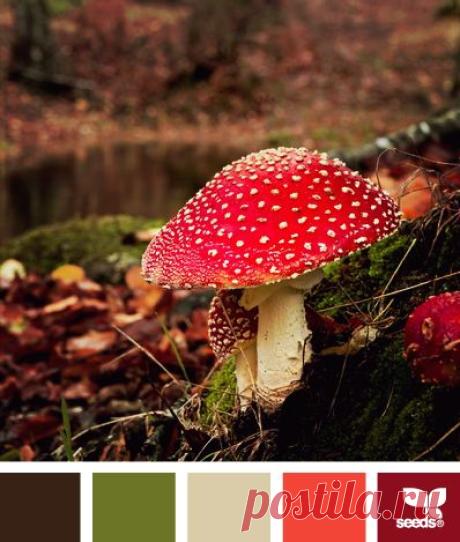 (970) Pinterest: инструмент для поиска и хранения интересных идей