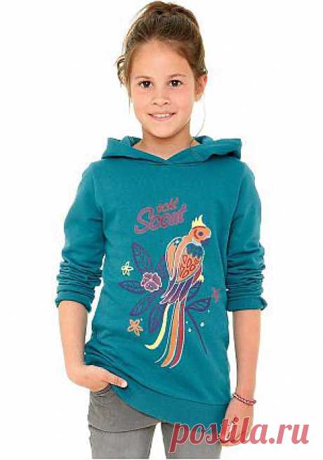 Толстовка - Свитеры и пуловеры - Для девочек - Детский мир - Коллекция ОСЕНЬ-ЗИМА 2013 - quelle.ru, 899 рублей