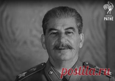 Низколобая обезьяна Сталин: каким он был на самом деле (видео) — Sputnik & Pogrom
