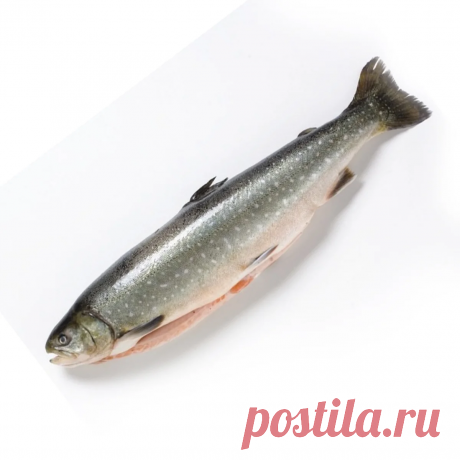 Диаменю.2 простых рецепта с указанием Хлебных Единиц.Уха на курином бульоне и разноцветные блины.
Всем привет.Сегодня в нашем диабетическом меню 2 блюда: » Уха из гольца( либо горбуши) на курином бульоне и разноцветные блины «Для внуков». Голец. Рецепт №1. В 100 гр.- 0,4 ХЕ. Уха из гольца на курином бульоне. Голец- рыба семейства лососевых. Имеет маленькую голову и очень нежное , розовое и вкусное мясо. Чешуи нет, поэтому и […]
Читай дальше на сайте. Жми подробнее ➡