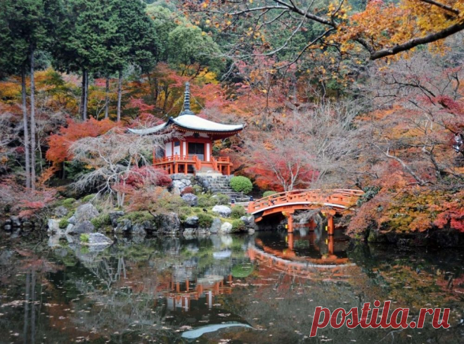 20 фотографий о том, что наш мир прекрасен и без фотошопа / Surfingbird - проводи время с пользой для себя!