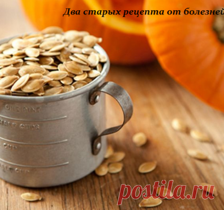 ДВА СТАРЫХ РЕЦЕПТА ОТ БОЛЕЗНЕЙ ПОЧЕК
