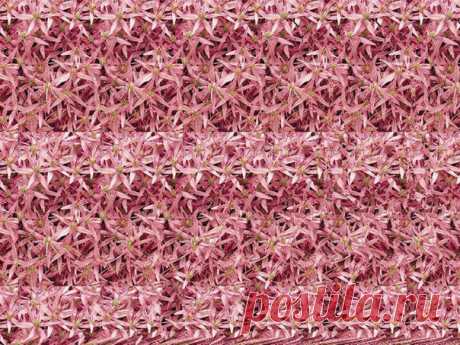 Ирина Кушнерева