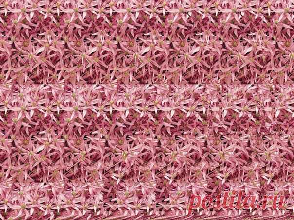 Ирина Кушнерева