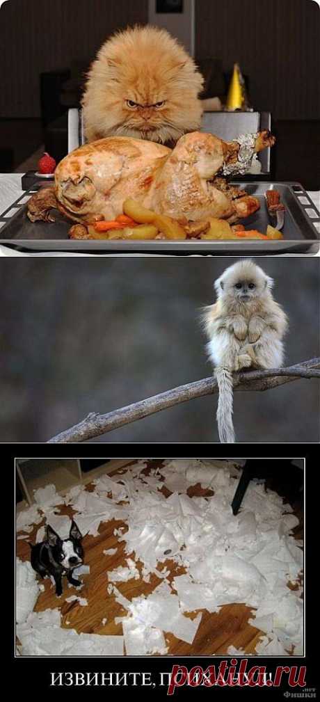 Умеют же! | Как прекрасен этот мир