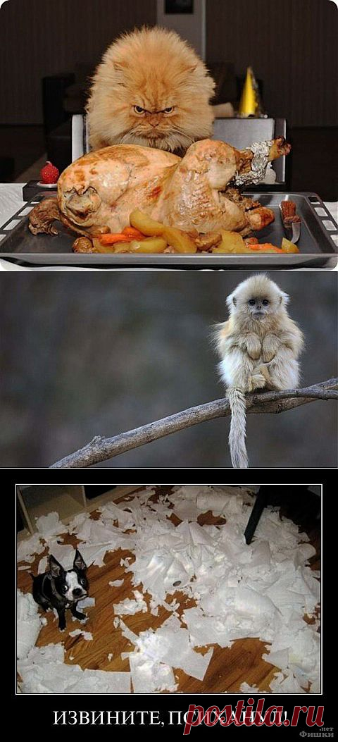 Умеют же! | Как прекрасен этот мир