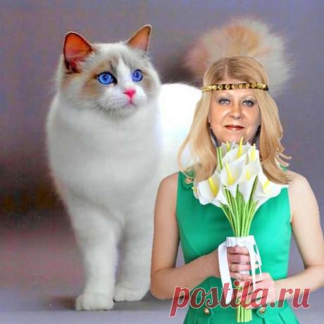 ВСЁ ЛУЧШЕЕ ИЗ YOU TUBE (16 плюс)
Светлана Марченко