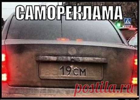 Обхохочешься: уморительная подборка смешных картинок - Новости журнала - Телеграф - Страница 40