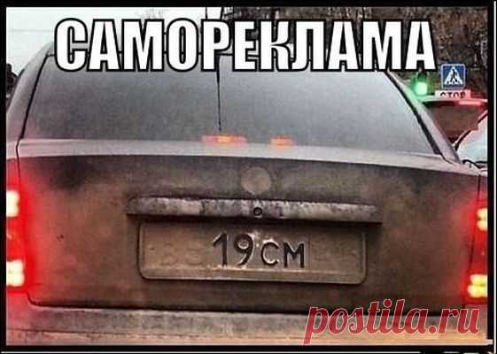 Обхохочешься: уморительная подборка смешных картинок - Новости журнала - Телеграф - Страница 40