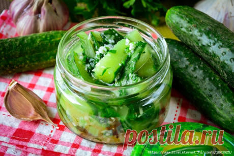 Огуречный салат с зеленью и чесноком “Под водочку”, аппетитно и вкусно!