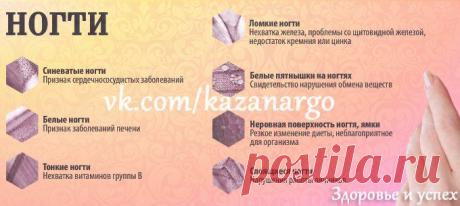 О чём нас предупреждают волосы и ногти?
Определяем состояние здоровья по внешним признакам.