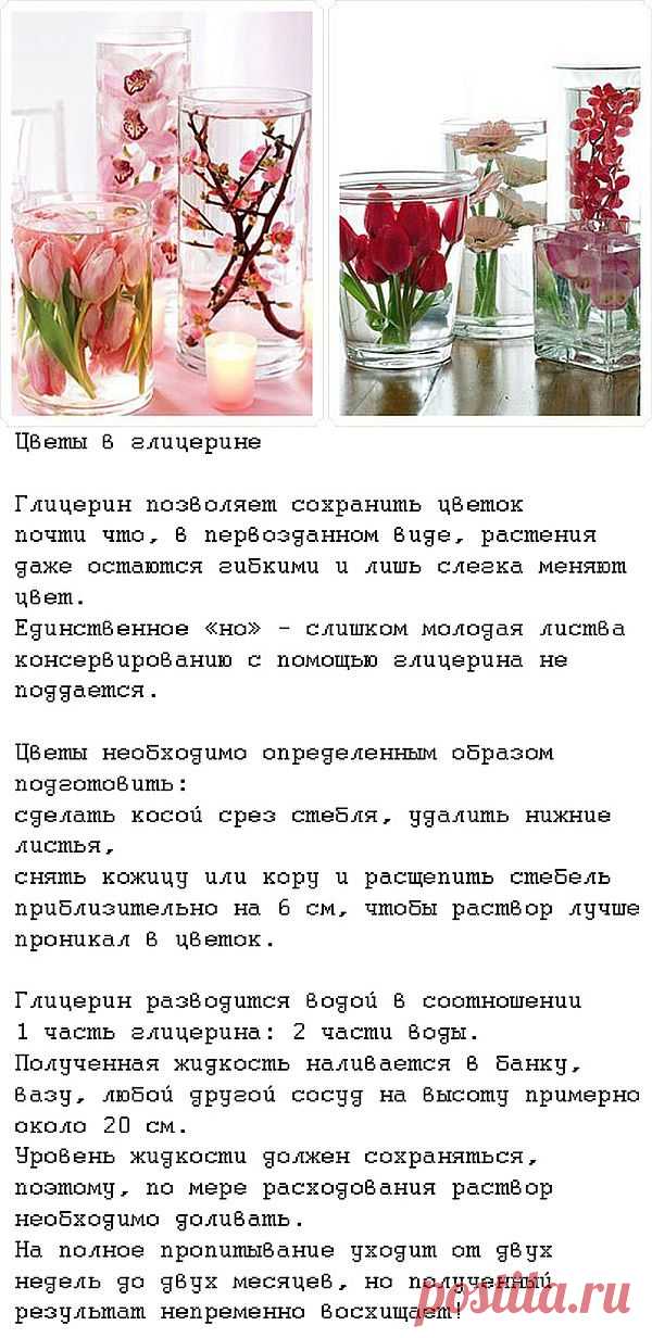 ЦВЕТЫ В ГЛИЦЕРИНЕ - ОСТАНОВИСЬ ЦВЕТУЩИЙ МИГ!.