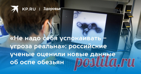 2-6-22-«Не надо себя успокаивать - угроза реальна»: российские ученые оценили новые данные об оспе обезьян ВОЗ заявила, что не исключает дальнейшего распространения вируса. Россия ввела дополнительные меры безопасности в аэропортах