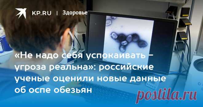 2-6-22-«Не надо себя успокаивать - угроза реальна»: российские ученые оценили новые данные об оспе обезьян ВОЗ заявила, что не исключает дальнейшего распространения вируса. Россия ввела дополнительные меры безопасности в аэропортах