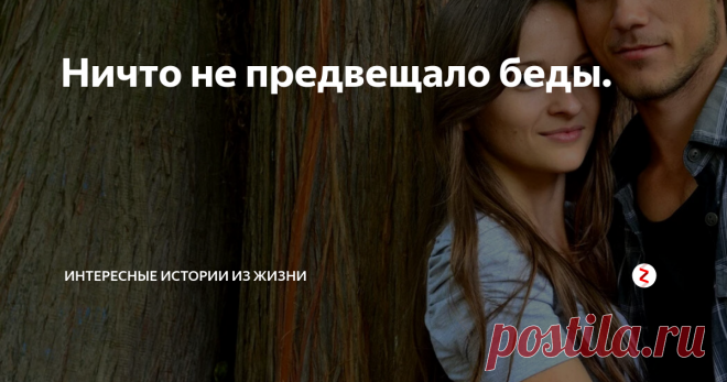 Ничто не предвещало беды. Все начиналось очень даже обыденно. Я прогуливался по рынку, и тут увидел мужичка, торгующего грузинскими кепками.
Не знаю, насколько они грузинские, но у меня сразу возникла ассоциация с кавказскими «аэродромами» на голове.
Хитрый план мгновенно созрел мгновенно и поэтому был выбран и куплен сей головной убор. Но не просто так.
Утром, перед уходом на работу, эта злополучная фуражка была аккуратно