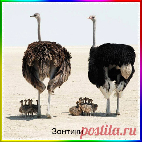 В мире много чужих нервов. Зачем трепать свои?