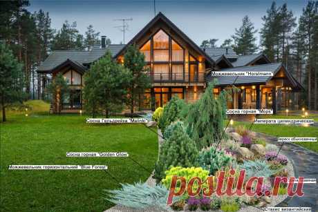 Вересковый сад. : купить в Киеве | Цены, фото и отзывы в интернет магазине Garden House