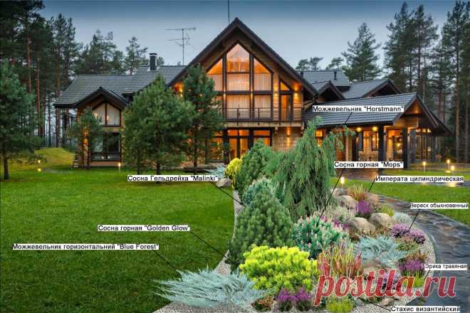 Вересковый сад. : купить в Киеве | Цены, фото и отзывы в интернет магазине Garden House