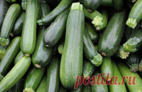 Какие кабачки могут храниться зимой без холодильника .