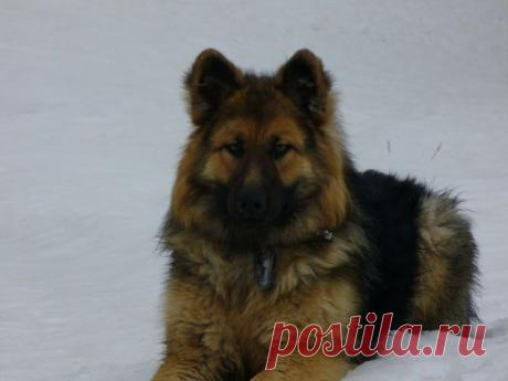 Одноклассники