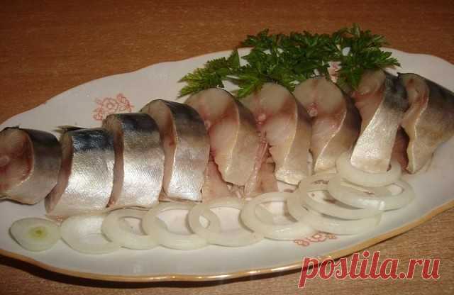 СОЛИМ сельдь и скумбрию