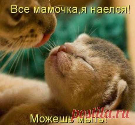 Новости