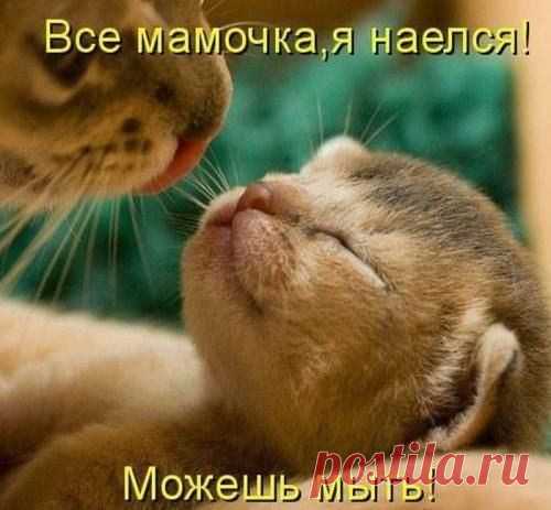 Новости