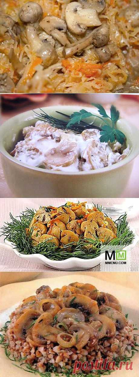 Рецепты блюд с грибами.
