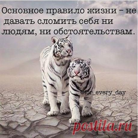 Интересные новости