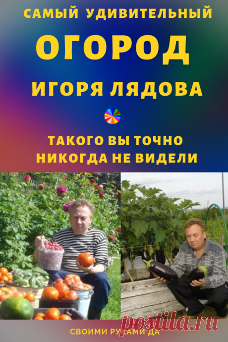 Полезные советы для дачников и огородников. Улучшаем огород своими руками. В настоящее время существует несколько проблем.... #дачник #растения #садовод #сад #дачасоветы #советы #огород #дача #своимируками #своимирукамида