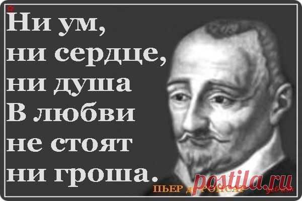 Georgy: Моя Душа открыта, - заходите! Просторно и Светло, поверьте, там! И если вдруг понравится - живите! Ручаюсь, что комфортно будет Вам! В ней океан Любви и море Ласки, Тепло Костра, зажжённого с Небес! И в ней Реальность краше всякой Сказки.