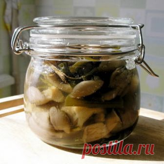 Вешенки, консервированные на зиму: очень вкусные рецепты с фото, как правильно консервировать вешенки Рецепты консервирования грибов вешенок на зиму в домашних условиях с видео и фотографиями