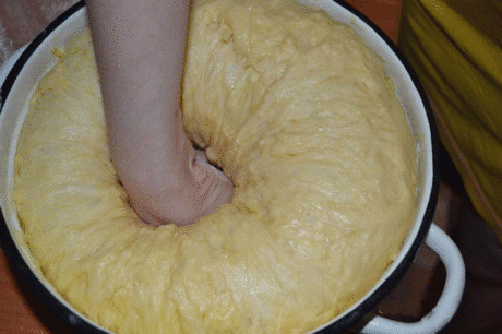 Пасха в этом году выпала на 8 апреля. Сохраните этот изумительный рецепт куличей! 
Александрийское тесто (для куличей) 
Совершенно потрясающие куличи! Сладкие, нежные, мягкие... Вкуснее я не ела в жизни! 
Рецепт бабушкин, готовит она по этому рецепту уже несколько десятков лет. 
С порции получается очень много куличей, смело делите количество на 2, 3, 4... 
1 л. топленого молока; 
1 кг. сахара; 
500 гр. слив. масла; 
10 яиц; 
3 желтка; 
150 гр. свежих дрожжей. 
Яйца слегка взбить, масло порез