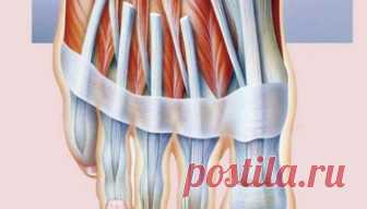 Холодные руки и ноги — Густая кровь  


 Прислушиваясь к сигналам своего тела, человек может понять, какие симптомы свидетельствуют о тех или иных неполадках в организме, на что нужно обратить внимание, какие меры принять, чтобы улучшит…