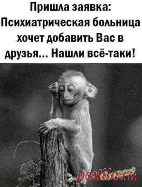 Юмор>Будьте здоровы!