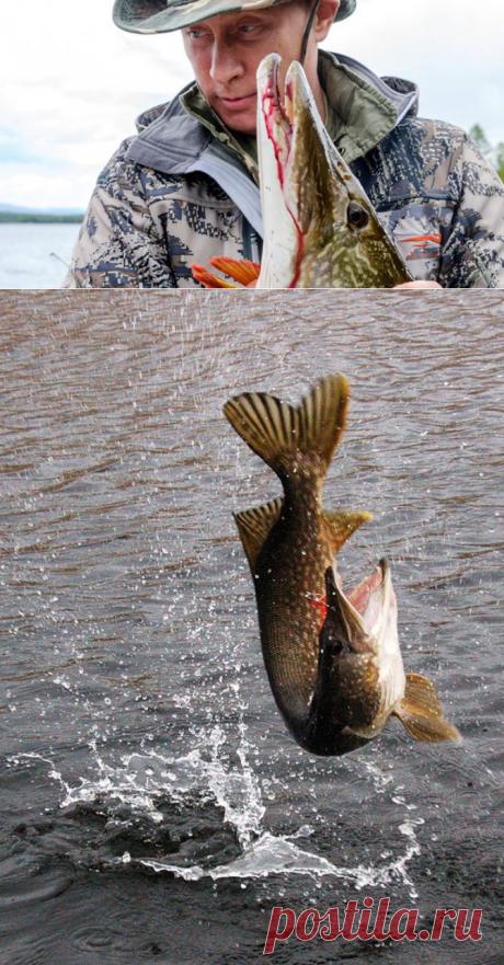 Самые рыболовные места в России