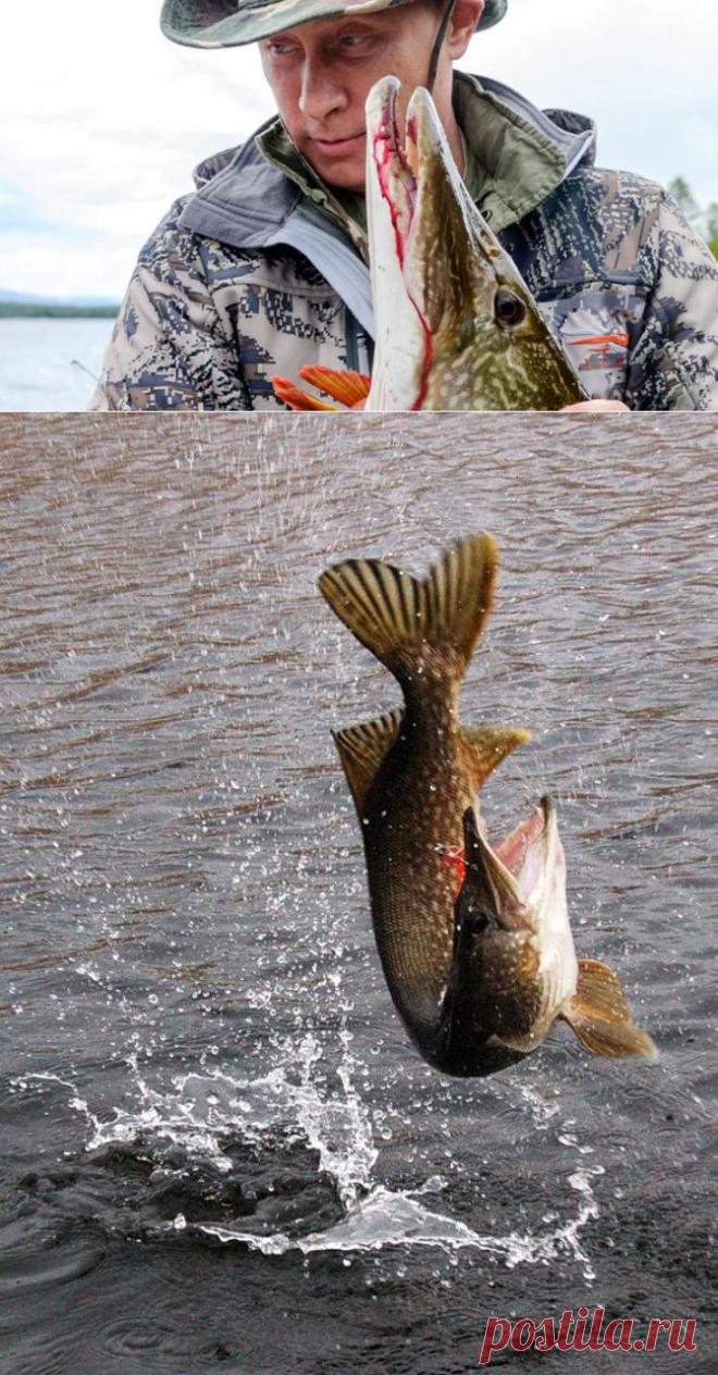 Самые рыболовные места в России