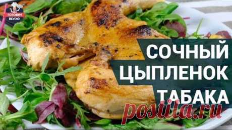 Сочный цыпленок табака. Как приготовить? | Цыпленок табака рецепт