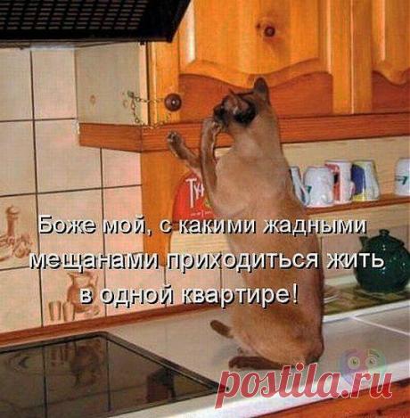 ))