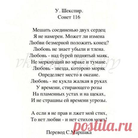 Лучшие стихи великих поэтов | БОТ Литература