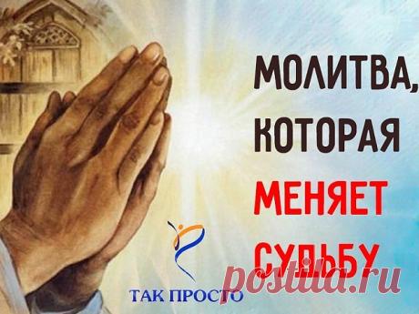 Молитва святому Николаю Чудотворцу, которая изменит судьбу!
Не все верят в чудо и силу молитвы, но если возникают непреодолимые жизненные трудности, остается только молиться. В моей семье особо почитался святой Николай, потому что так звали отца. Знаю с детства образ этого приятного старца, его лицо кажется таким добрым и всё понимающим.
Святой Николай Чудотворец слышит молитвы миллионов верующих и является посредником между обычными людьми и Всевышним. Он способен помочь ...