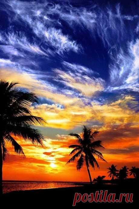 Key West beach., Florida  |  Pinterest • Всемирный каталог идей