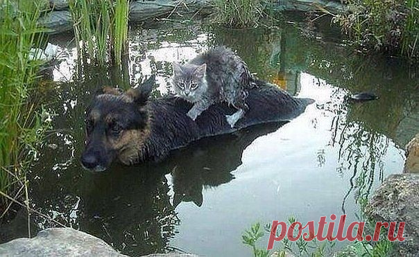 Классные видео и фото кадры