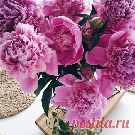 Немного нежности вам в ленту.💗