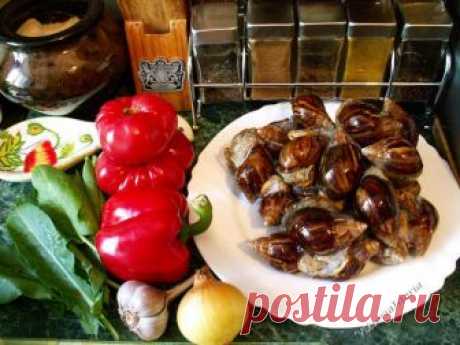 Жаркое из ахатин
Разведение гигантских улиток ахатин при их высокой плодовитости неизбежно приводит к вопросу – «Куда их девать?». Дабы избежать демографического взрыва, рекомендуют сразу уничтожать кладку яиц. Н…