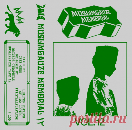 Muslimgauze - Muslimgauze Memorial Mix Part 5 (2024) 320kbps / FLAC