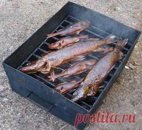 Копчение рыбы в домашних условиях