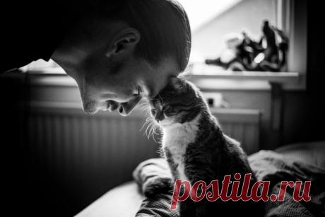 20 пронзительных фотопортретов, от которых вы не сможете оторвать взгляда