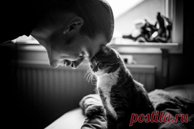 20 пронзительных фотопортретов, от которых вы не сможете оторвать взгляда