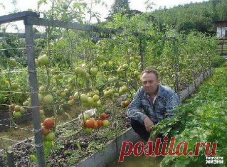Огород для ленивых